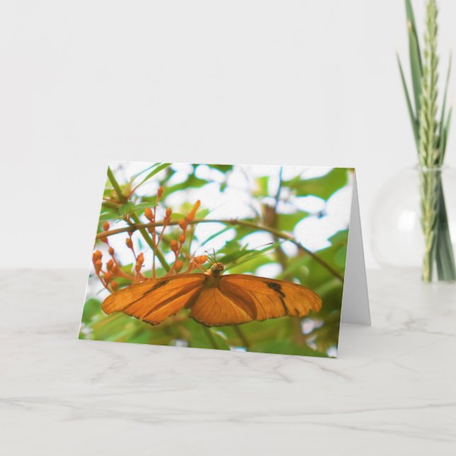 Butterfly Kort (Framsida)