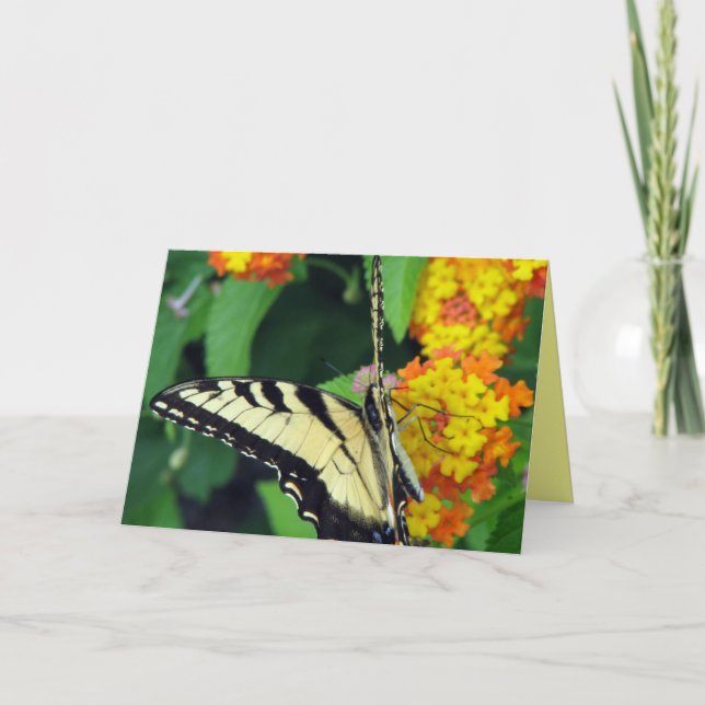 Butterfly Kort (Framsida)