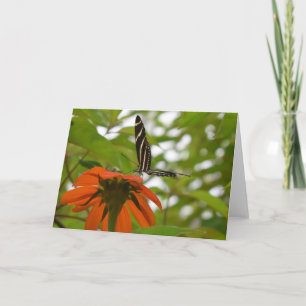 Butterfly Kort