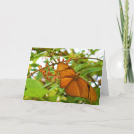 Butterfly Kort