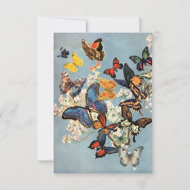Butterfly Kort (Framsida)