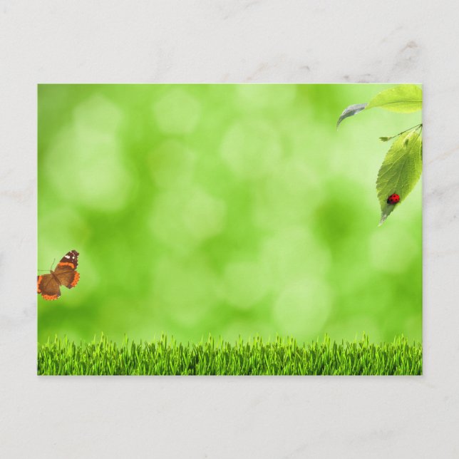 Butterfly & Ladybug over Grass Vykort (Framsida)