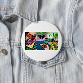 Butterfly Life Knapp