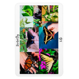 Butterfly Life Magnet