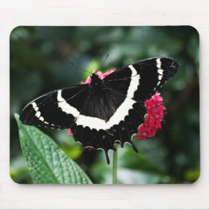 Butterfly Lolipop Mousepad Musmatta