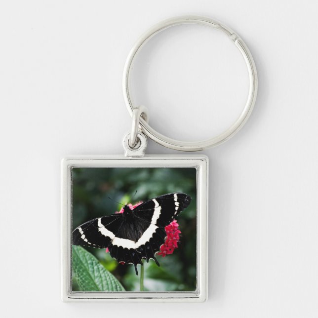 Butterfly Lolipop-nyckelkedja Fyrkantig Silverfärgad Nyckelring (Framsidan)