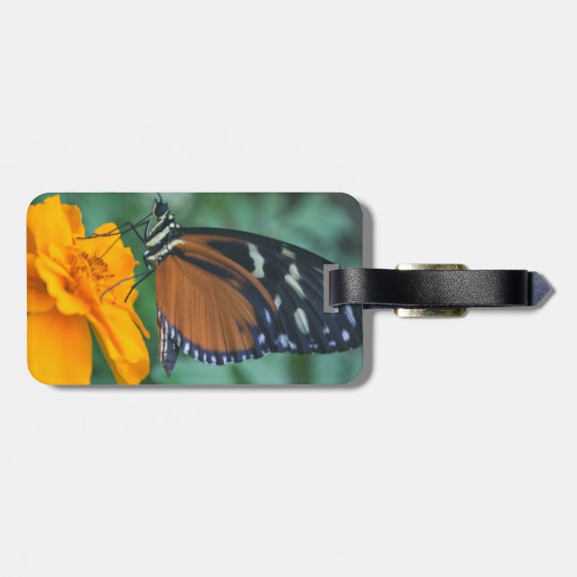Butterfly Luggage Tag Bagagebricka (Baksida Vågrät)