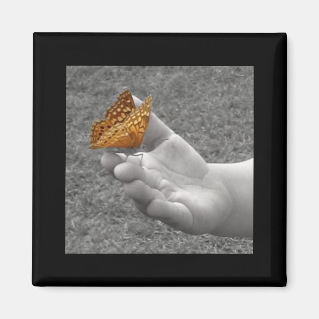 Butterfly Magnet (Framsidan)