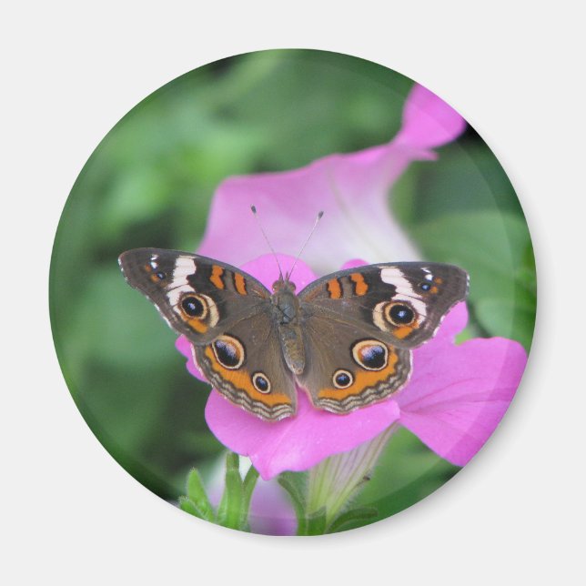 Butterfly Magnet (Framsidan)