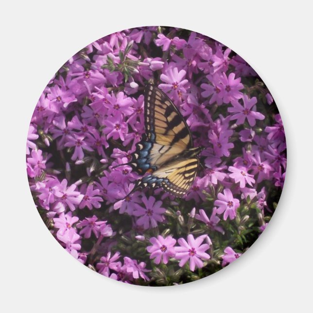 Butterfly Magnet (Framsidan)