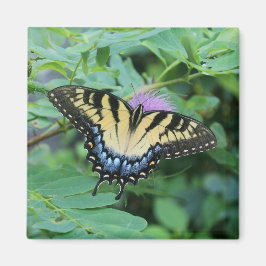 Butterfly Magnet
