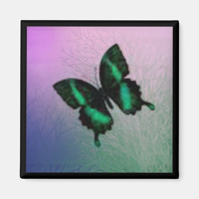 Butterfly Magnet (Framsidan)