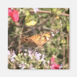 Butterfly Magnet