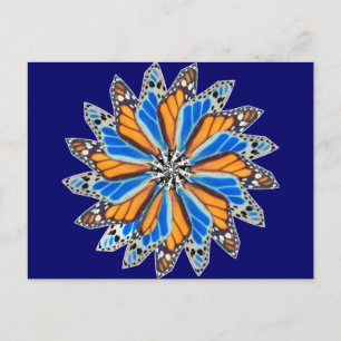 Butterfly Mandala 2 Vykort