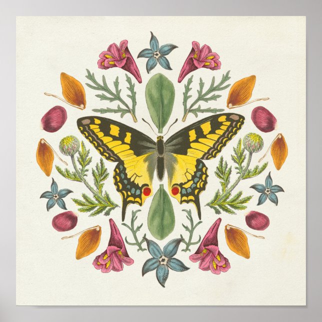 Butterfly Mandala Poster (Framsidan)