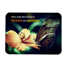 Butterfly matande på blomma magnet