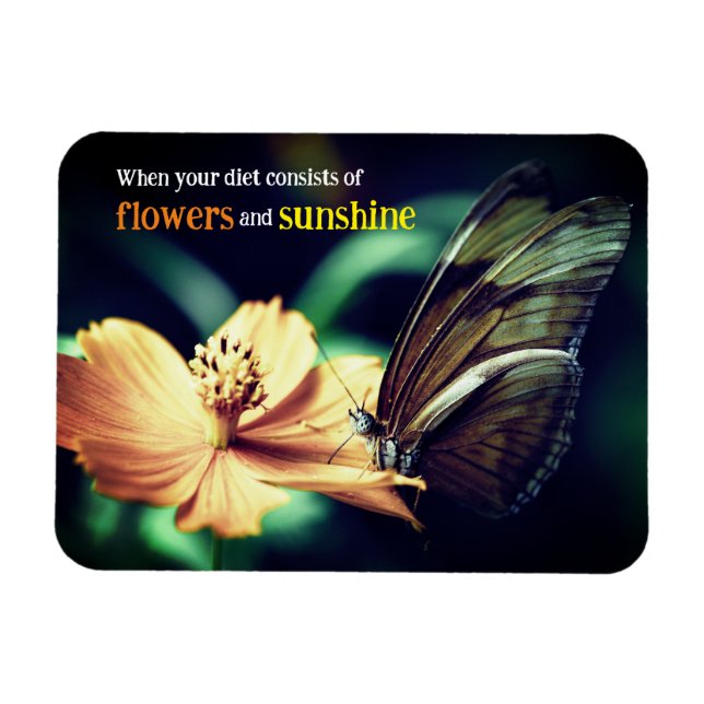 Butterfly matande på blomma magnet (Horisontell)
