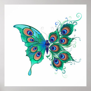 Butterfly med Grönt Peacock Feathers Poster