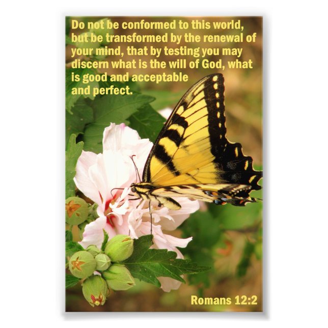 Butterfly med romer 12:2 fototryck (Framsidan)