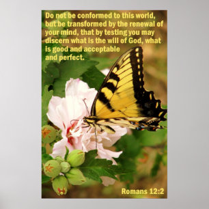 Butterfly med romer 12:2 poster