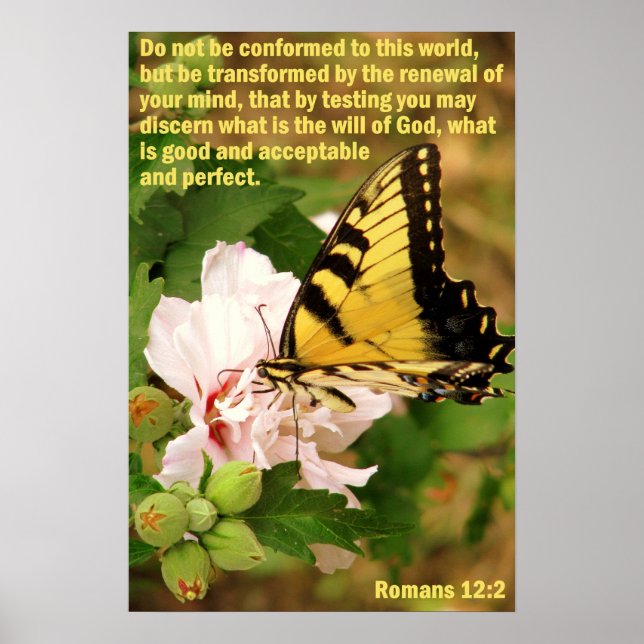 Butterfly med romer 12:2 poster (Framsidan)