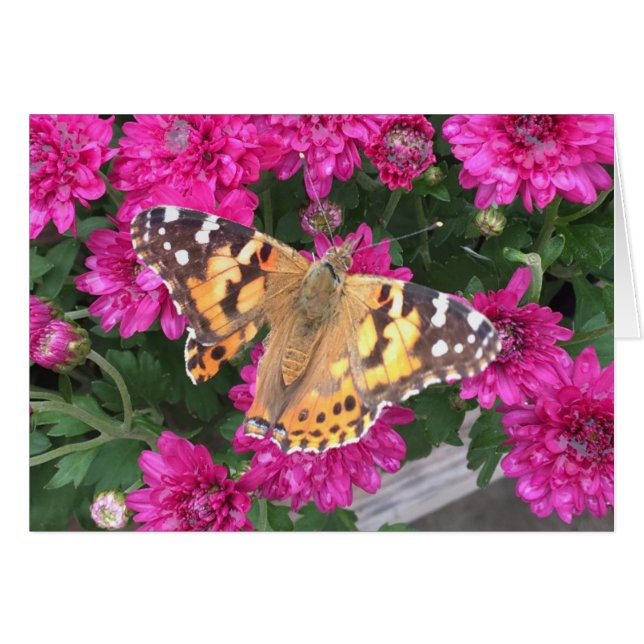 Butterfly Moment Hälsningskort (Framsidan Horizontal)