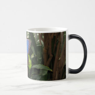 Butterfly Morph Mugg