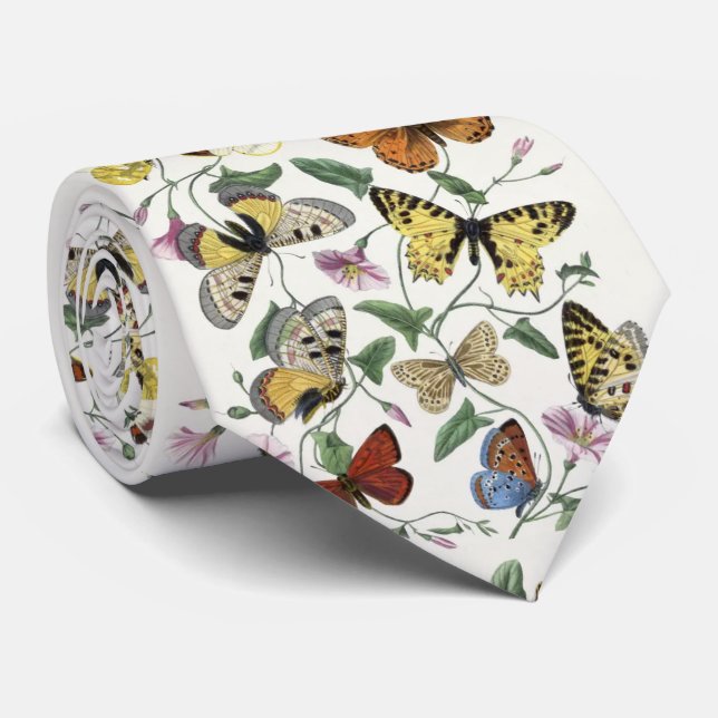 Butterfly & Moth av Paul Gervais Slips (Rullad)