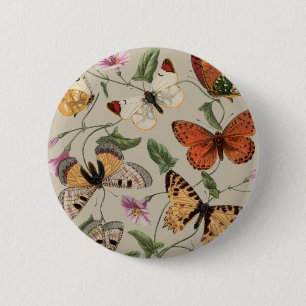 Butterfly Moth Nature Teckning antique vattencolor Knapp