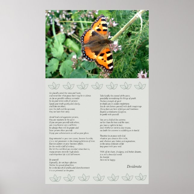 Butterfly Motivational Desiderata Poster (Framsidan)