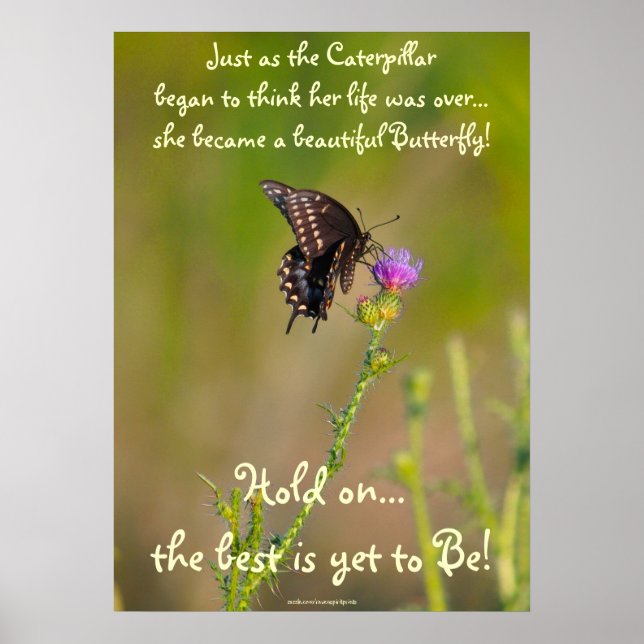 Butterfly Motivational Inspirational Photo Poster (Framsidan)