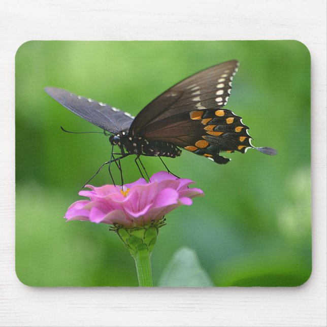 Butterfly Mousepad Musmatta (Framsidan)