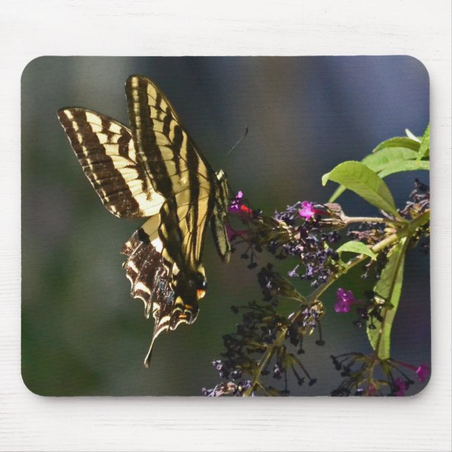 Butterfly Mousepad Musmatta (Framsidan)
