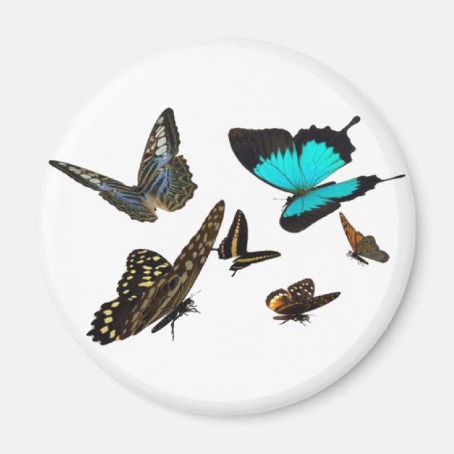 Butterfly multi magnet (Framsidan)