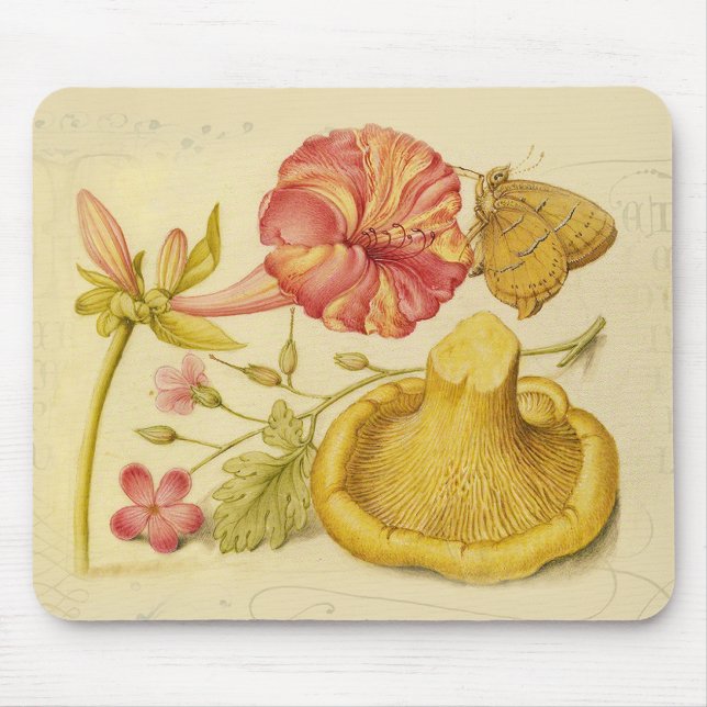 Butterfly Mushroom Flower Watercolor Paeing Musmatta (Framsidan)