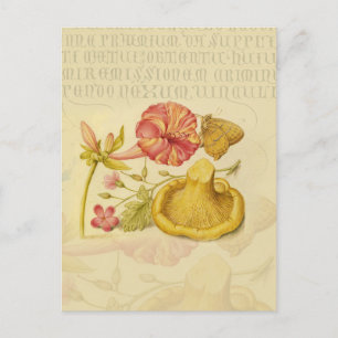 Butterfly Mushroom Flower Watercolor Paeing Vykort