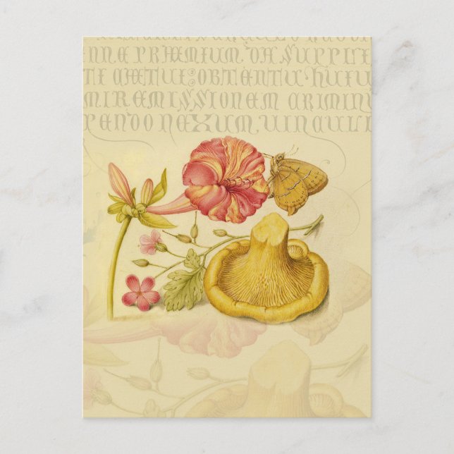 Butterfly Mushroom Flower Watercolor Paeing Vykort (Framsida)