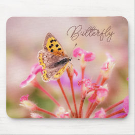 Butterfly Musmatta