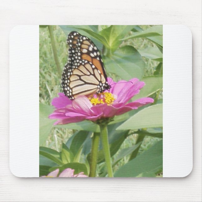 Butterfly Musmatta (Framsidan)