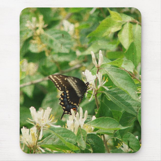 Butterfly Musmatta (Framsidan)