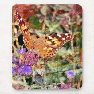 Butterfly Musmatta