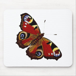 Butterfly Musmatta
