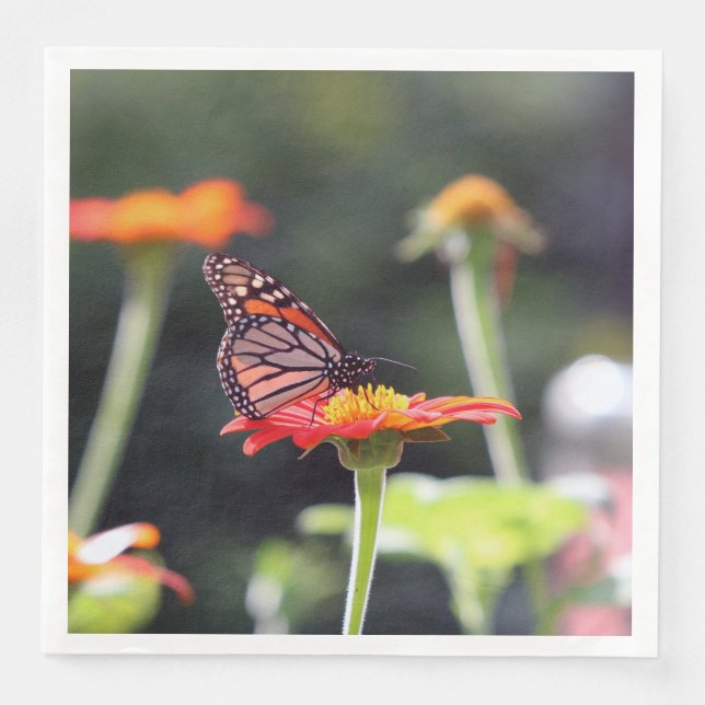 Butterfly Napkins Pappersservett (Framsida)
