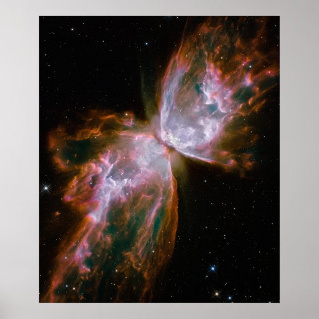 Butterfly Nebula Poster (Framsidan)