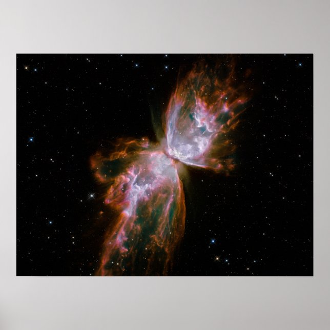 Butterfly Nebula Poster (Framsidan)