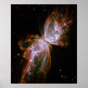 Butterfly Nebula-utskrift Poster