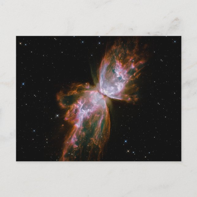 Butterfly Nebula Vykort (Framsida)