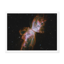 Butterfly Nebula White Gräns