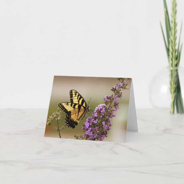 Butterfly Note-kort Kort (Framsida)