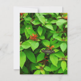 Butterfly Notecard Anteckningskort